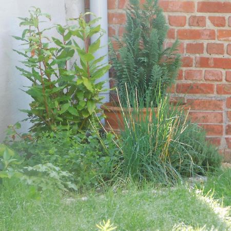 Vakantiewoning Louis Mechelen Exterior photo